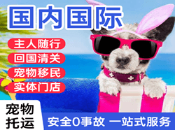 吴圩机场货运国际宠物托运 【国